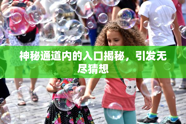 神秘通道内的入口揭秘，引发无尽猜想