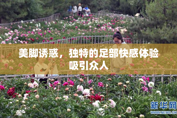美脚诱惑，独特的足部快感体验吸引众人