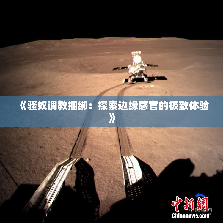 《骚奴调教捆绑：探索边缘感官的极致体验》