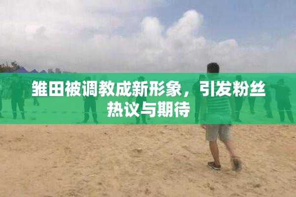 雏田被调教成新形象，引发粉丝热议与期待