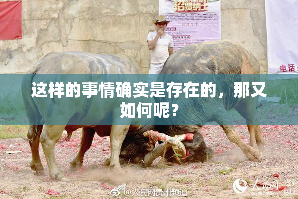 这样的事情确实是存在的，那又如何呢？