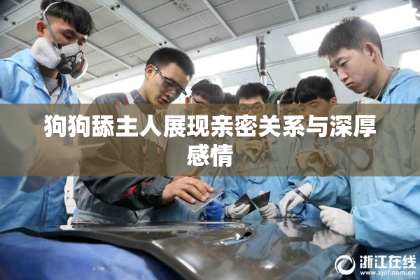 狗狗舔主人展现亲密关系与深厚感情