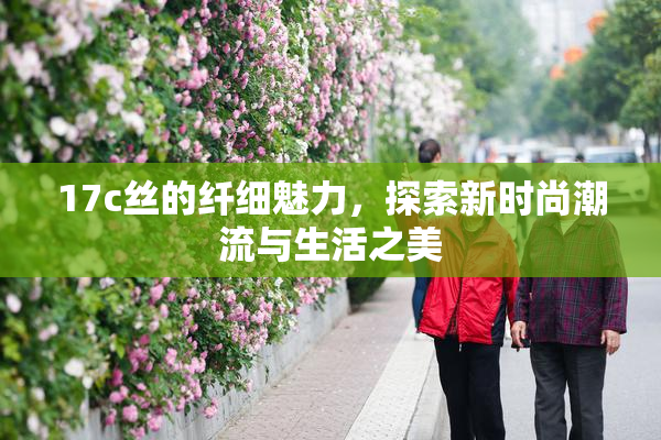17c丝的纤细魅力，探索新时尚潮流与生活之美