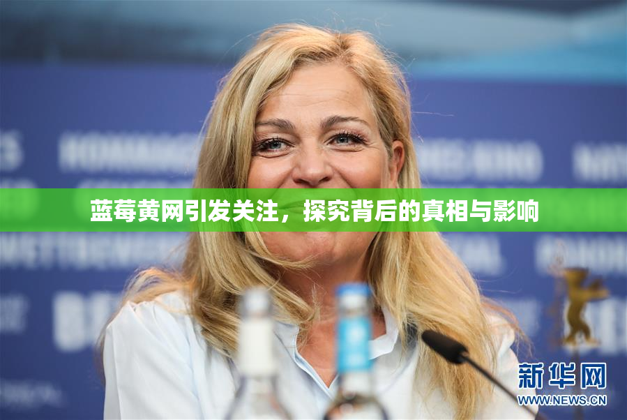 蓝莓黄网引发关注，探究背后的真相与影响