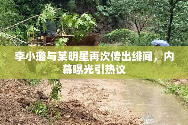 李小璐与某明星再次传出绯闻，内幕曝光引热议