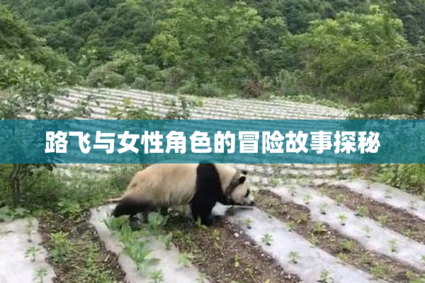 路飞与女性角色的冒险故事探秘