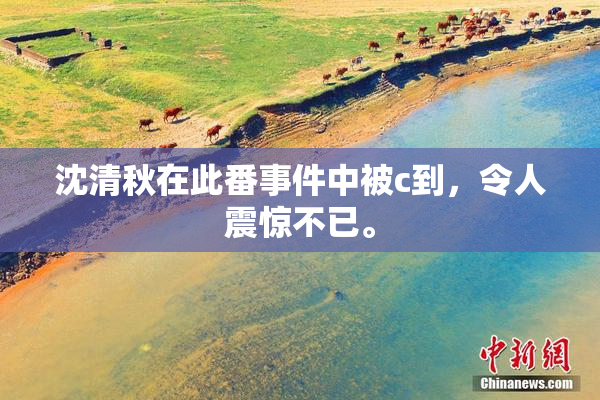 沈清秋在此番事件中被c到，令人震惊不已。