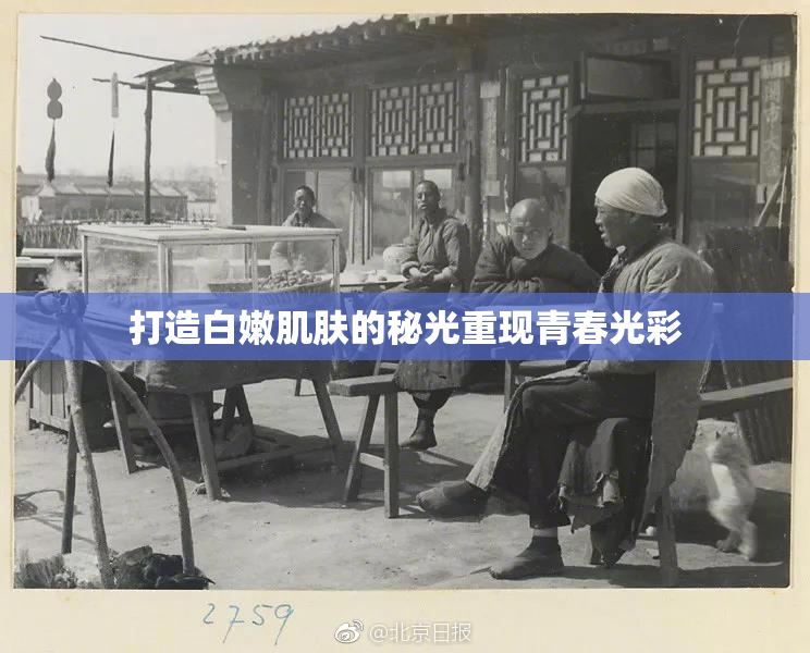 打造白嫩肌肤的秘光重现青春光彩