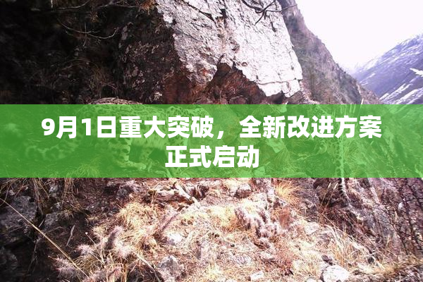 9月1日重大突破，全新改进方案正式启动