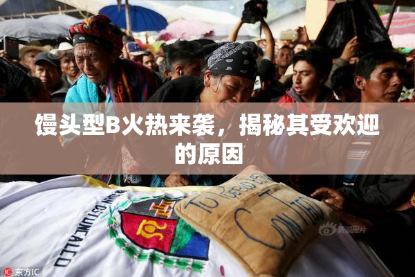馒头型B火热来袭，揭秘其受欢迎的原因