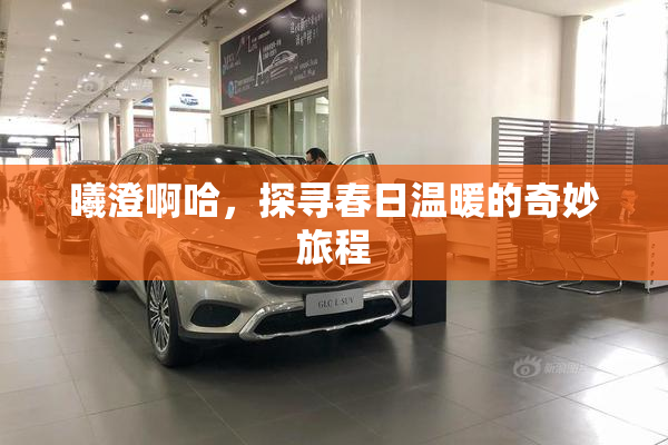 曦澄啊哈，探寻春日温暖的奇妙旅程