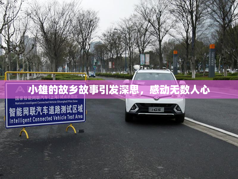 小雄的故乡故事引发深思，感动无数人心