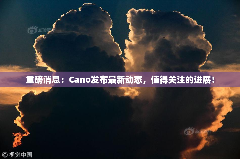 重磅消息：Cano发布最新动态，值得关注的进展！