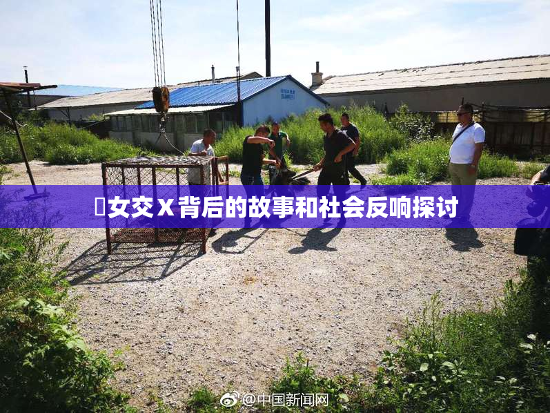 乣女交Ⅹ背后的故事和社会反响探讨