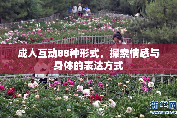 成人互动88种形式，探索情感与身体的表达方式