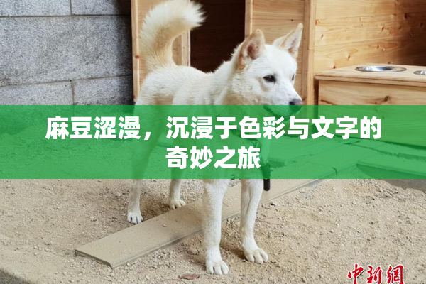 麻豆涩漫，沉浸于色彩与文字的奇妙之旅