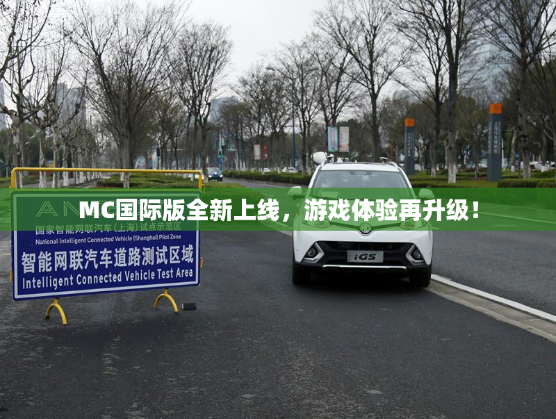 MC国际版全新上线，游戏体验再升级！