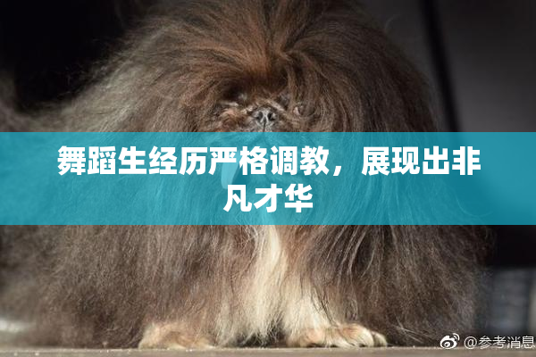 舞蹈生经历严格调教，展现出非凡才华