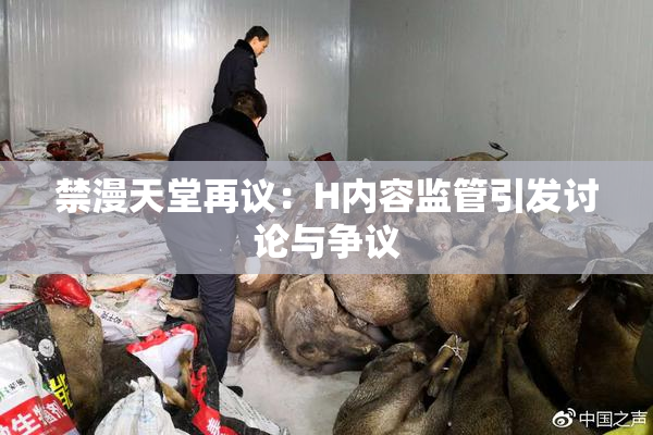 禁漫天堂再议：H内容监管引发讨论与争议