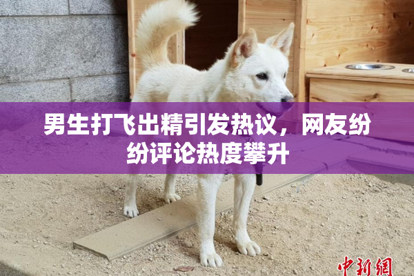 男生打飞出精引发热议，网友纷纷评论热度攀升