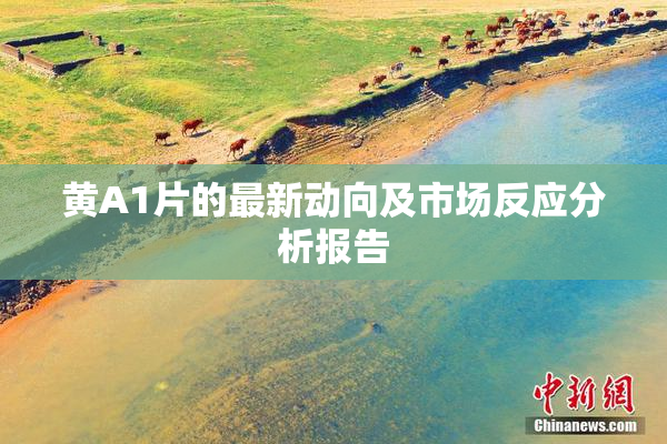黄A1片的最新动向及市场反应分析报告