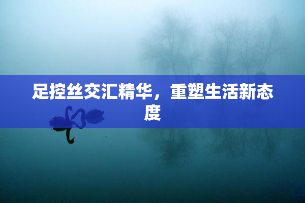 足控丝交汇精华，重塑生活新态度