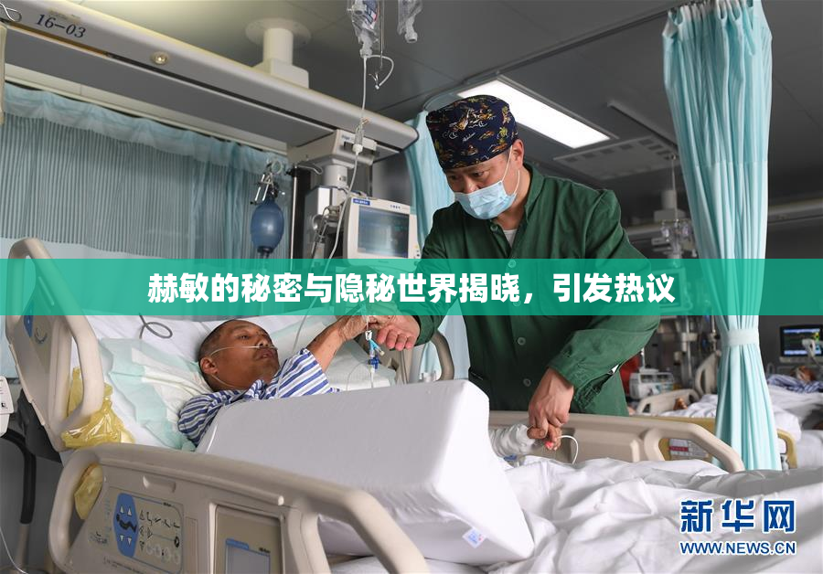 赫敏的秘密与隐秘世界揭晓，引发热议