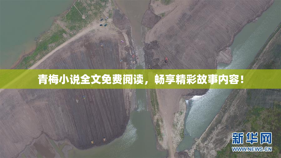青梅小说全文免费阅读，畅享精彩故事内容！