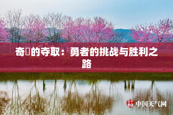 奇犽的夺取：勇者的挑战与胜利之路