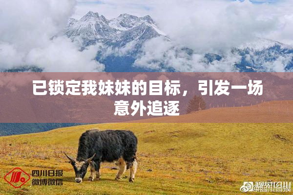 已锁定我妹妹的目标，引发一场意外追逐