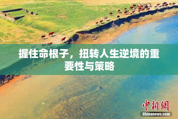 握住命根子，扭转人生逆境的重要性与策略
