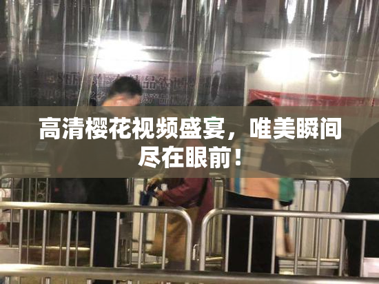 高清樱花视频盛宴，唯美瞬间尽在眼前！