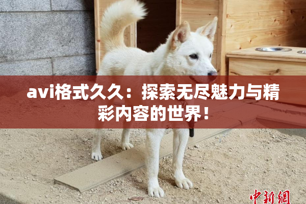 avi格式久久：探索无尽魅力与精彩内容的世界！