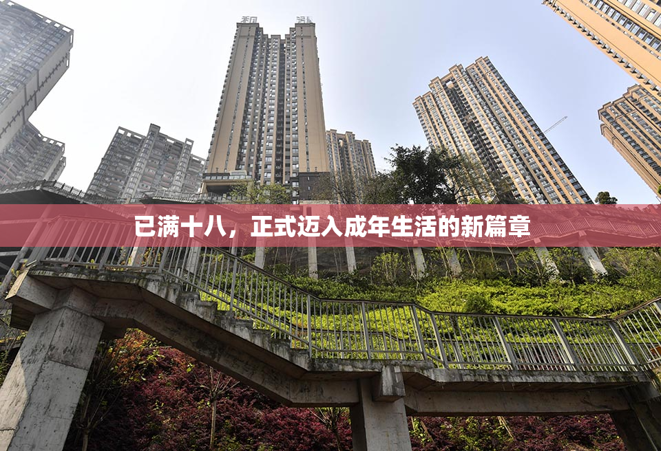 已满十八，正式迈入成年生活的新篇章