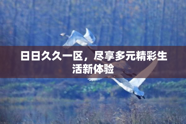 日日久久一区，尽享多元精彩生活新体验