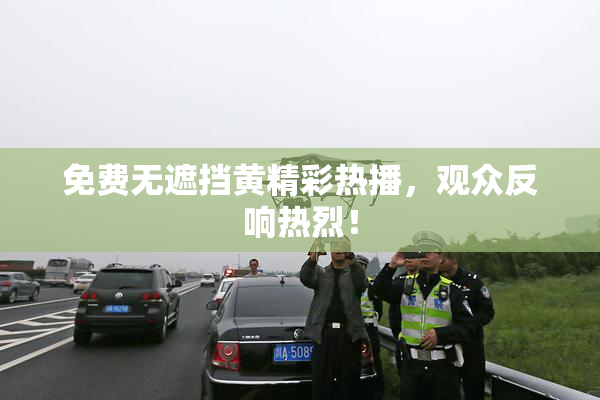 免费无遮挡黄精彩热播，观众反响热烈！
