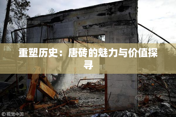 重塑历史：唐砖的魅力与价值探寻