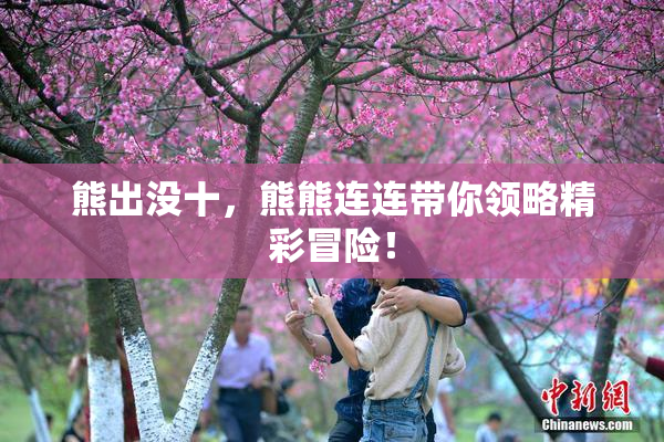 熊出没十，熊熊连连带你领略精彩冒险！