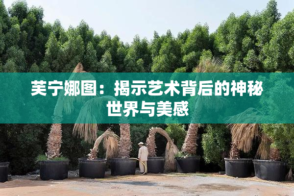 芙宁娜图：揭示艺术背后的神秘世界与美感