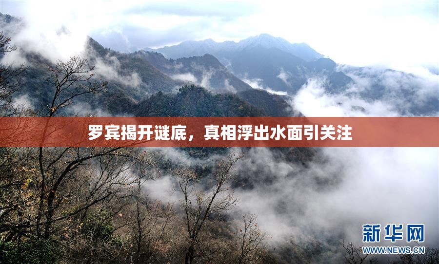 罗宾揭开谜底，真相浮出水面引关注