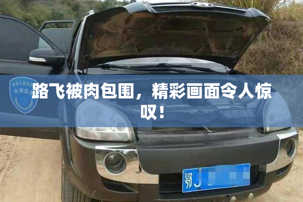 路飞被肉包围，精彩画面令人惊叹！