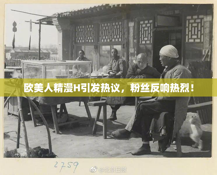 欧美人精漫H引发热议，粉丝反响热烈！