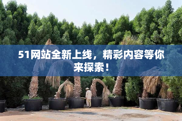 51网站全新上线，精彩内容等你来探索！