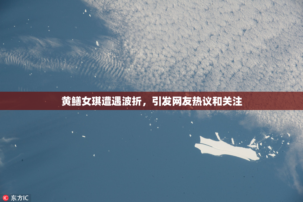 黄鳝女琪遭遇波折，引发网友热议和关注