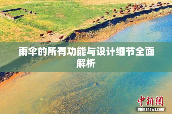 雨伞的所有功能与设计细节全面解析