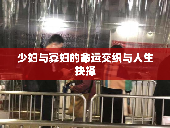 少妇与寡妇的命运交织与人生抉择