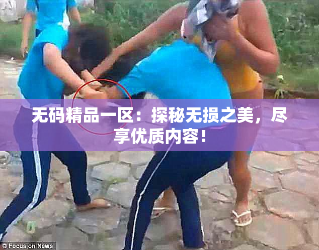 无码精品一区：探秘无损之美，尽享优质内容！