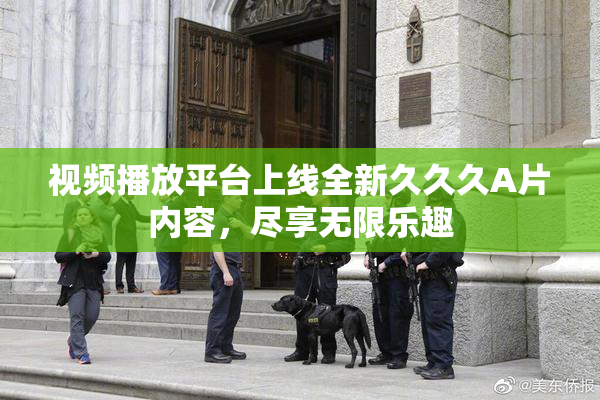 视频播放平台上线全新久久久A片内容，尽享无限乐趣