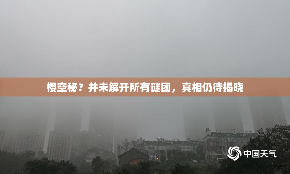 樱空秘？并未解开所有谜团，真相仍待揭晓