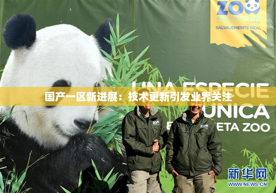 国产一区新进展：技术更新引发业界关注